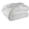 Image de Couette 350g 240x260cm