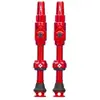 Image de Muc Off Soupapes Big Bore Lite Tubeless 35 mm