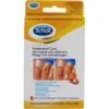 Image de Scholl Pansements Traitement Cors x 8