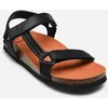 Image de Heaven Ad Comfort par Scholl Noir 41