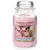 Image de Yankee Candle, Bougie parfumée, Fresh cut Roses (623 g)
