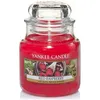 Image de Yankee Candle - Bougie jarre en verre senteur framboise rouge Moyen modèle
