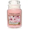 Image de Bougie parfumée - YANKEE CANDLE - Fleur de cerisier - Grande jarre - 623 g - Intérieur