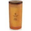 Image de Chesapeake Bay Candles, Bougie parfumée, Pamplemousse Mangue