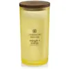 Image de Chesapeake Bay Candles, Bougie parfumée, Ananas Noix de Coco (355 g)
