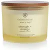Image de Chesapeake Bay Candles, Bougie parfumée, Ananas Noix de Coco