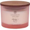 Image de Chesapeake Bay Candles, Bougie parfumée, Eau de Rose