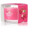 Image de Yankee Candle Red Raspberry Bougie parfumée 1000 g