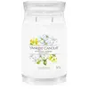Image de Yankee Candle Midnight Jasmine Bougie parfumée 1000 g