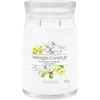 Image de Yankee Candle, Bougie parfumée, Duftkerze Midnight Jasmine Signature Large Jar (567 g)