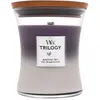 Image de WoodWick, Bougie parfumée, Amethyst Sky (275 g)