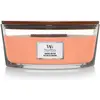 Image de WoodWick, Bougie parfumée, Nectar de Manuka