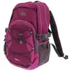 Image de Trespass - Sac à dos ALBUS (Taille unique) (Pourpre) - UTTP2936