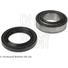 Image de Kit De Roulement De Roue Blue Print Ada108312