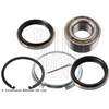 Image de Kit De Roulement De Roue Blue Print Adt38212