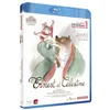 Image de Ernest et célestine [Blu-ray] [FR Import] en occasion ou reconditionné