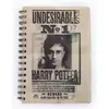 Image de Pyramid, Cahier + bloc-notes, HARRY POTTER - Sirius & Harry - Carnet A5 3D (A5)