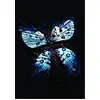 Image de Butterfly Effect Trilogy