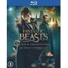 Image de FANTASTIC BEASTS 1-3-BIL-BLURAY