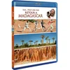 Image de Îles... était une fois : Le Retour à Madagascar - Combo Blu-Ray + DVD