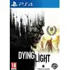 Image de Dying Light