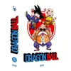 Image de Coffret Dragon Ball Saison 1 Volume 1 DVD