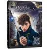 Image de Les Animaux fantastiques DVD
