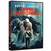 Image de Rampage - Hors de contrôle - DVD en occasion ou reconditionné