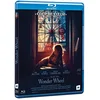 Image de Wonder wheel [Blu-ray] [FR Import] en occasion ou reconditionné