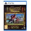 Image de Harry Potter : Champions de Quidditch - Deluxe Edition