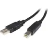 Image de StarTech Câble USB 2.0 A vers B de 5 m - M/M (5 m, USB 2.0), Câble USB