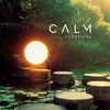 Image de Calm Classical Vinyle album