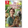 Image de Nintendo Games Switch My Vet Practice In The Zoo