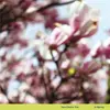Image de In Spring