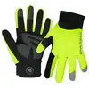 Image de Endura Gants hiver Strike