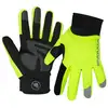 Image de Endura Gants hiver Strike