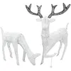 Image de Ensemble Cerf & Biche Dorée 120 LED Blanc Froid Décoration de Noël Extérieur