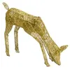 Image de Biche Dorée 120 LED Blanc Brilliant Décoration de Noël Extérieur Jardin