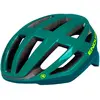 Image de Endura Casque Fs260-pro Mips L-XL