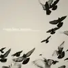 Image de Rossz Csillag Allat Született