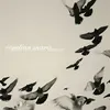 Image de Rossz Csillag Allat Született 20th Anniversary Vinyle album