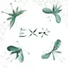 Image de Exo