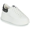 Image de Baskets basses Ash  MOBY STUDS M66666576