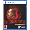 Image de Shadow Warrior 3