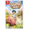 Image de Everdream Valley - Switch