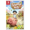 Image de Everdream Valley Nintendo Switch Nintendo Switch
