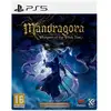 Image de Mandragora : Whispers of the Witch Tree - Collector's Edition