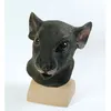 Image de Bristol Novelty - Masque RAT - Adulte (Taille unique) (Noir) - UTBN1033