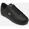 Image de POWERCOURT M par Lacoste Noir 40 Homme