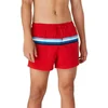 Image de Speedo Short De Bain Colorblock Volley 14´´ S